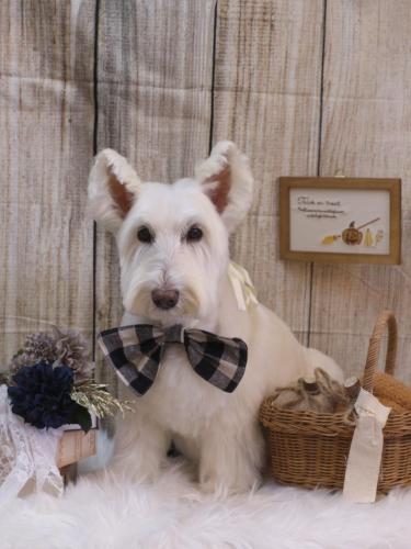 20241013ムーミンくん